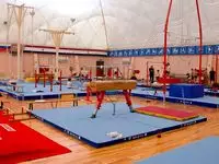 Спортивный линолеум для гимнастического зала