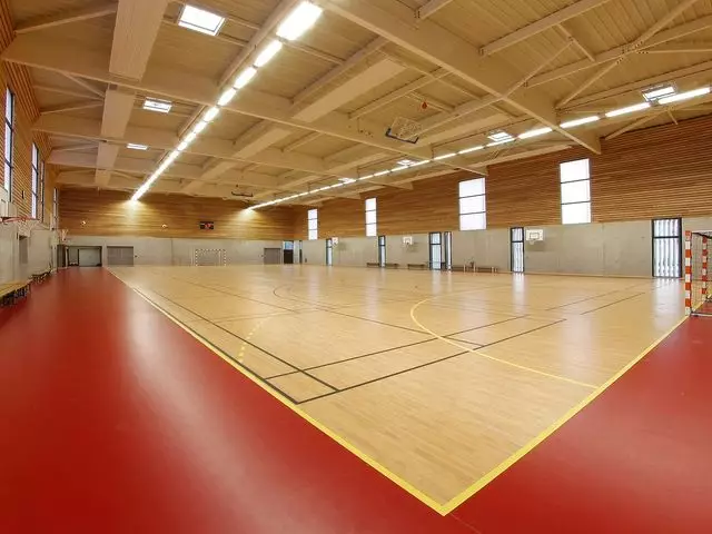 Спортивный линолеум для залов