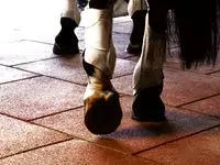 Резиновая плитка для конюшни