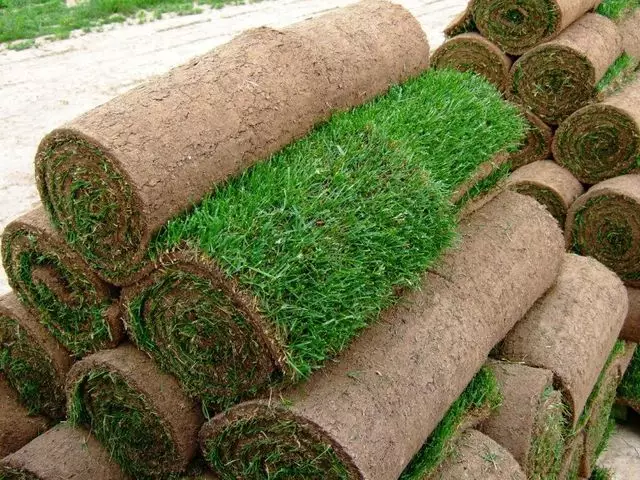 Газонная трава для футбольных полей