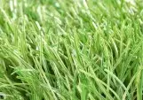 Искусственная трава IBIS Turf Monofilament 60