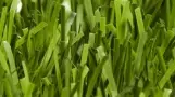 Искусственная трава Nurteks ACTIVETURF (Турция)