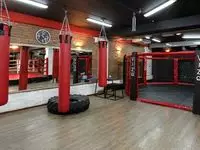 Спортивное покрытие для зала единоборств