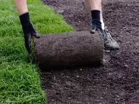 Газонная трава для футбольных полей