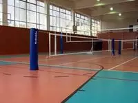 Спортивный линолеум для залов