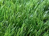 Искусственная трава RP-Grass Prestige (Франция) Искусственная трава RP-Grass Prestige (Франция)