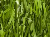 Искусственная трава Nurteks ACTIVETURF (Турция)