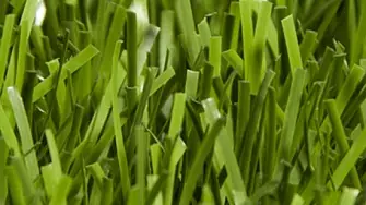 Искусственная трава Nurteks ACTIVETURF (Турция)