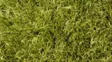Искусственная трава ItalGreen Lesmo