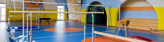 Оборудование для школьного спортзала