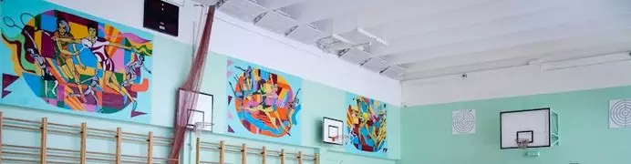 Школьный спортивный зал