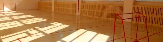 Физкультурно спортивные залы