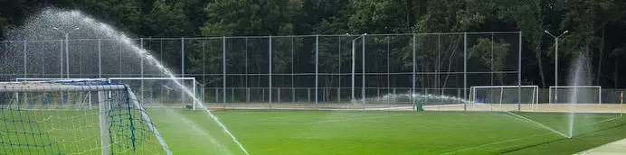 Натуральная трава для спорта
