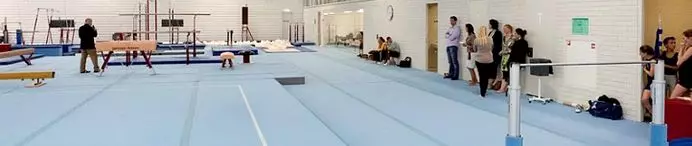 Спортивный линолеум Forbo
