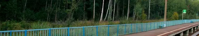 Покрытия для ЖД