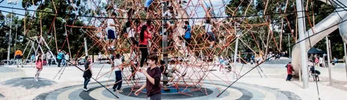 Веревочный парк строительство